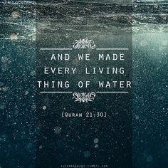 Everything was made from water by God